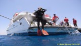 Дайвинг сафари на Дальний Юг Красного моря ( Марса Алам- Сэнт Джонс ) с дайвинг центром «ПОТОК»по цене Северного!!!