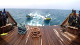 В октябре приглашаем на Золотой треугольник Красного моря!!!