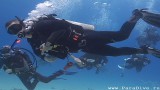 Сафари на Дальний Юг Красного моря — Сент Джонс!