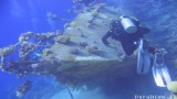 Дайв-сафари Север Красного моря — Рэки!!!