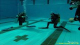 Пробное погружение с аквалангом в бассейне каждое воскресенье!!!